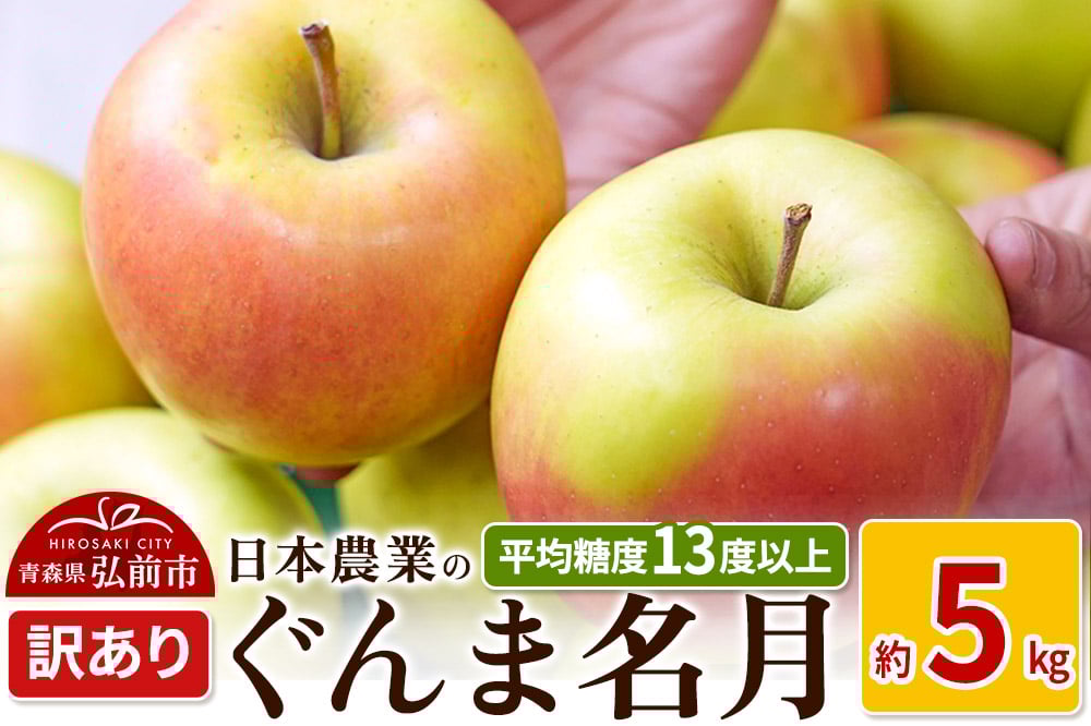 
            りんご 【先行受付】平均糖度13度以上！ ぐんま名月 約5kg 訳あり
          