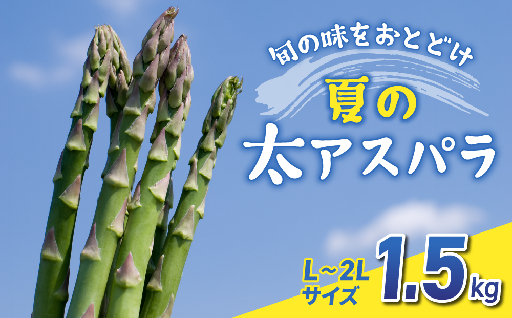 先行予約2025年発送予定【のららぼ農園】農家直送！新鮮！夏獲れ太（L?2L）アスパラ1.5kg（およそ35?50本）※2025年7月上旬?9月上旬発送予定