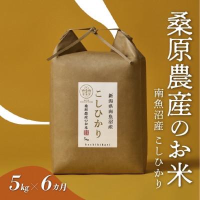 ふるさと納税 南魚沼市 【発送月固定定期便】桑原農産のお米 山間地限定米 南魚沼産こしひかり[5kg×1袋]全6回