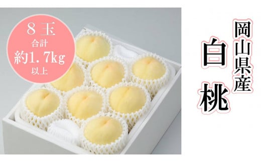 岡山県産　白桃８玉（合計 1.7kg 以上）（WFH）//　関連するキーワード 岡山の白桃 ロイヤル 岡山 人気  岡山ロイヤル 清水白桃他
