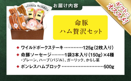 『ハム贅沢セット』 豚肉 ポークステーキ ソーセージ ハム 詰め合わせ お取り寄せ 国産 ギフト 冷凍 沖縄市 / DELICATESSEN NUCHIBUTA[BCAR007]