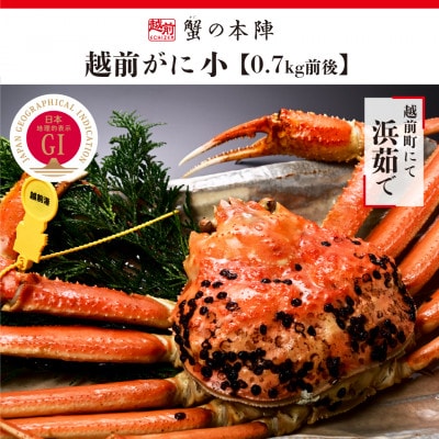 冬の日本海の味　浜茹で【越前がに　0.7kg前後】11月～翌3月順次発送【配送不可地域：離島・北海道・沖縄】【1398532】