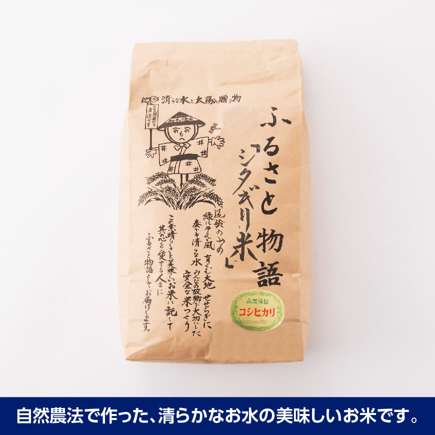 【6ヶ月定期便】※毎月20日頃発送※【令和6年産】宮崎県産こしひかり 「シタギリ米」 5kg×2【 お米 新米 2024年産 定期便 全6回 】[D04202t6]