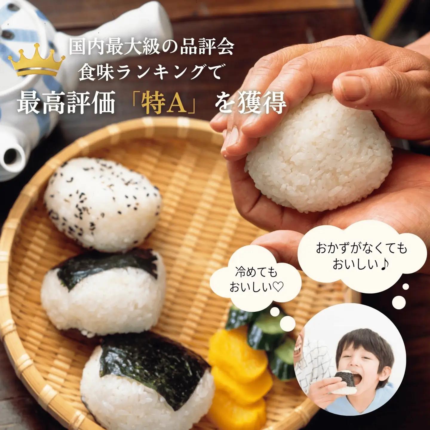 福井県産いちほまれ 米 5kg [B-187002] / いちほまれ