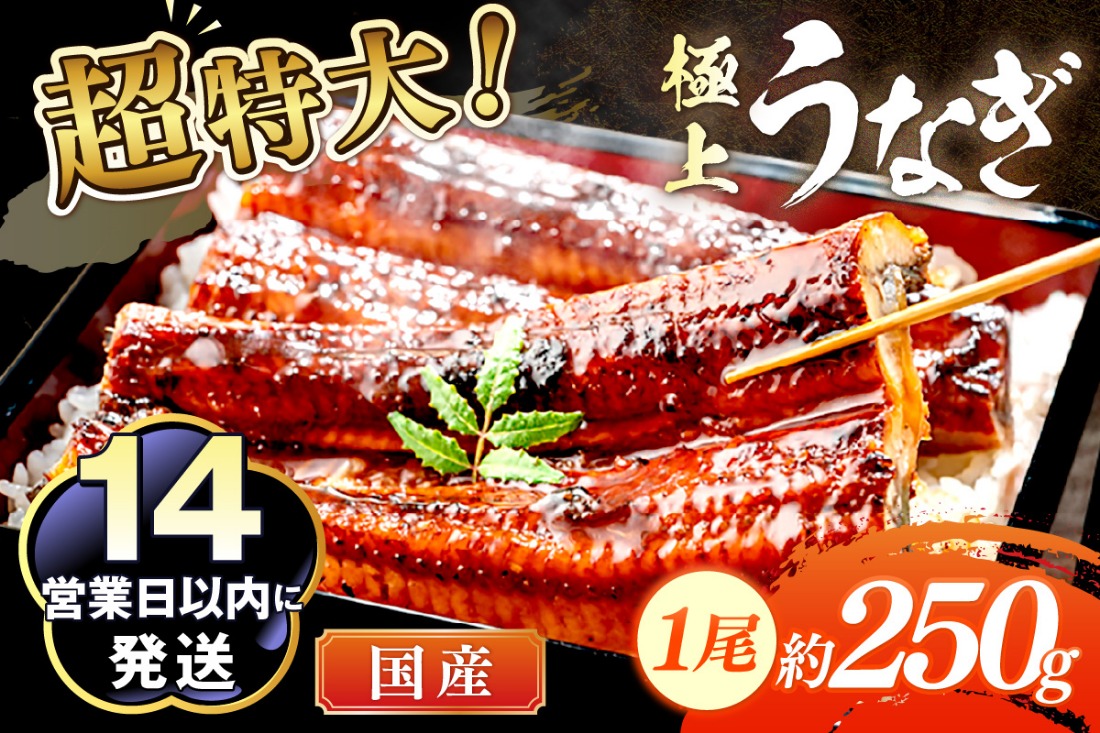 【14営業日以内発送】超特大！極上！国産うなぎ蒲焼 1尾 250g前後 ＜鰻の蒲焼き ウナギのかば焼き 超特大かばやき 肉厚カバヤキ スタミナ 土用の丑の日 小分け＞　YK00400