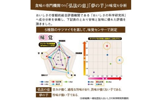 【ふるさと納税】夢の芋　生芋　家庭用　2kg