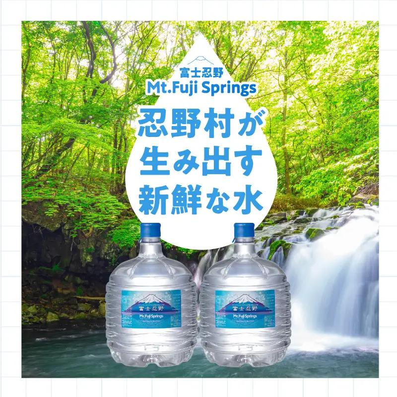 【12ヶ月定期便】富士忍野　Mt．Fuji　Springs　12L×2本　12ヶ月コース（ウォーターサーバーレンタル無料）【SHC-M9000SW（卓上型）】