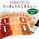 【ふるさと納税】日光醤油のろばたづけ これだけあれば安心「らっきょうたくさんセット」｜漬物 ギフト グルメ おかず 国産 日光産 [0248]