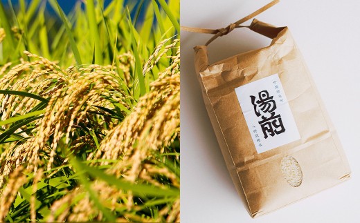 令和8年産 湯前産 くまさんの輝き 「 杵つき精米 」 5kg お米 米 白米 白飯 ご飯 おにぎり 和食 国産 熊本県産 【 2026年11月上旬～12月上旬発送予定 】