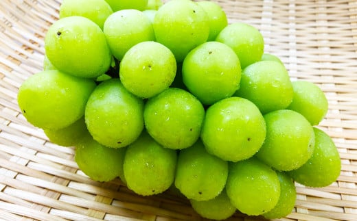 【先行予約】待ちきれない シャインマスカット 2房【シャインマスカット 大粒  先行予約 しゃいんますかっと マスカット ぶどう 2房 種無し たねなし 皮ごと 期間限定 季節限定】