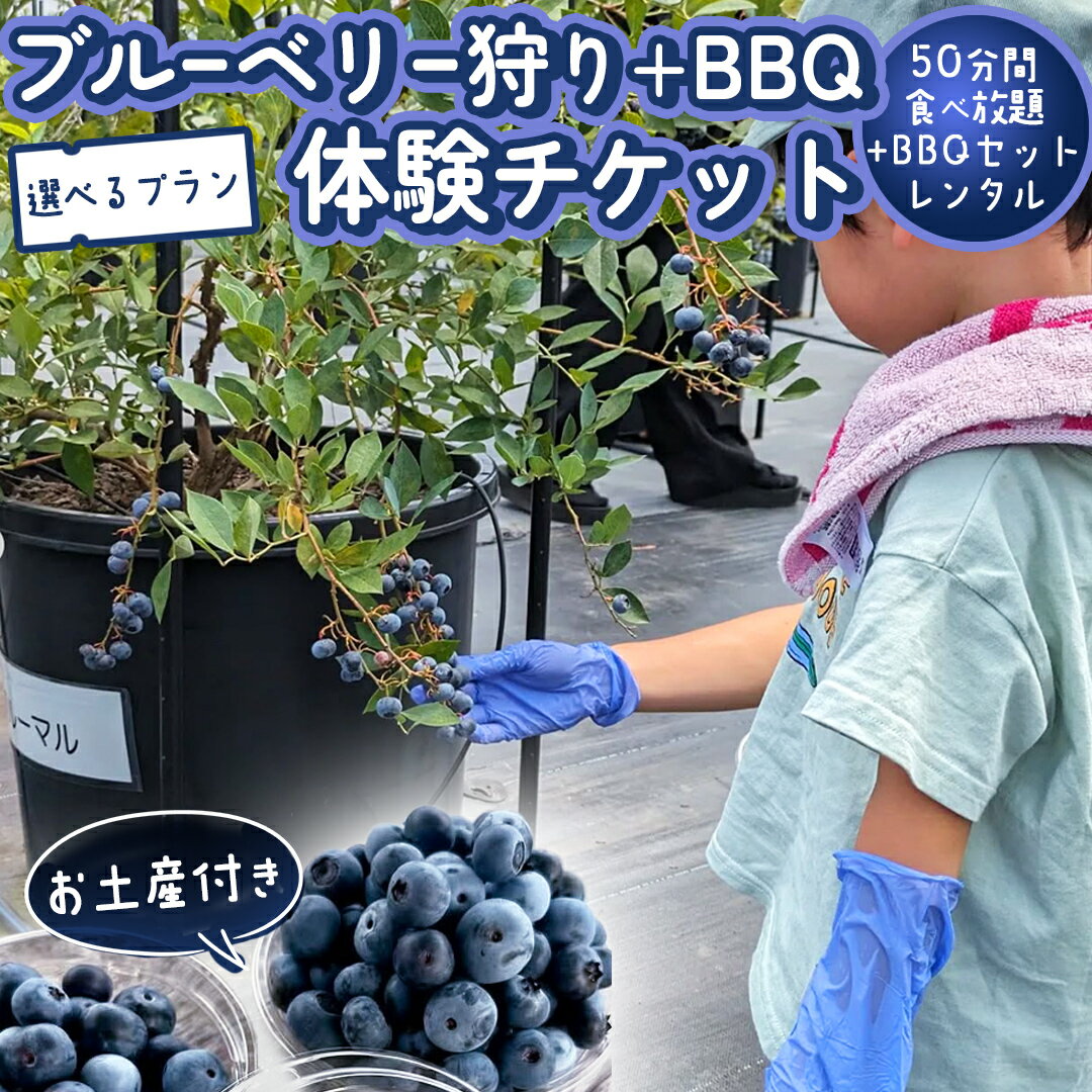 【ふるさと納税】《寄附受付は2025年8月5日まで》 ブルーベリー狩り ＋ DAYキャンプ 体験チケット 《レンタルBBQ道具＋お土産付き》 ブルーベリー ベリー 食べ比べ 食べ放題 収穫 収穫体験 キャンプ BBQ バーベキュー 肉 旅行 レンタル 体験 チケット 招待券 レジャー 観光