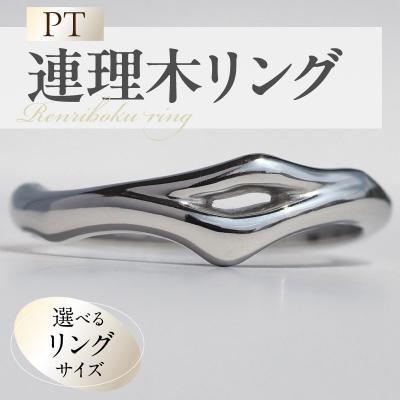 ふるさと納税 小牧市 PT連理木リング〈2.5mm幅〉(17号)[016K33-07]
