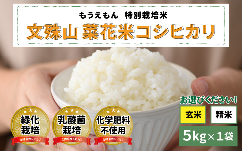 
                  【令和7年産】文殊山 菜花米コシヒカリ　5kg（5kg × 1袋）真空パック [C-08207] / 真空パック 白米 玄米 特別栽培米 乳酸菌栽培 コシヒカリ米 お米
                