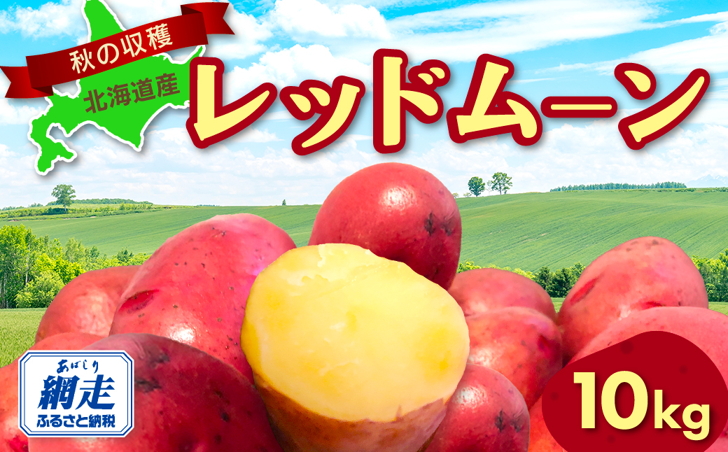 【先行予約】秋の収穫美味レッドムーンじゃがいも 10kg（2026年9月15日以降発送） ABAO071