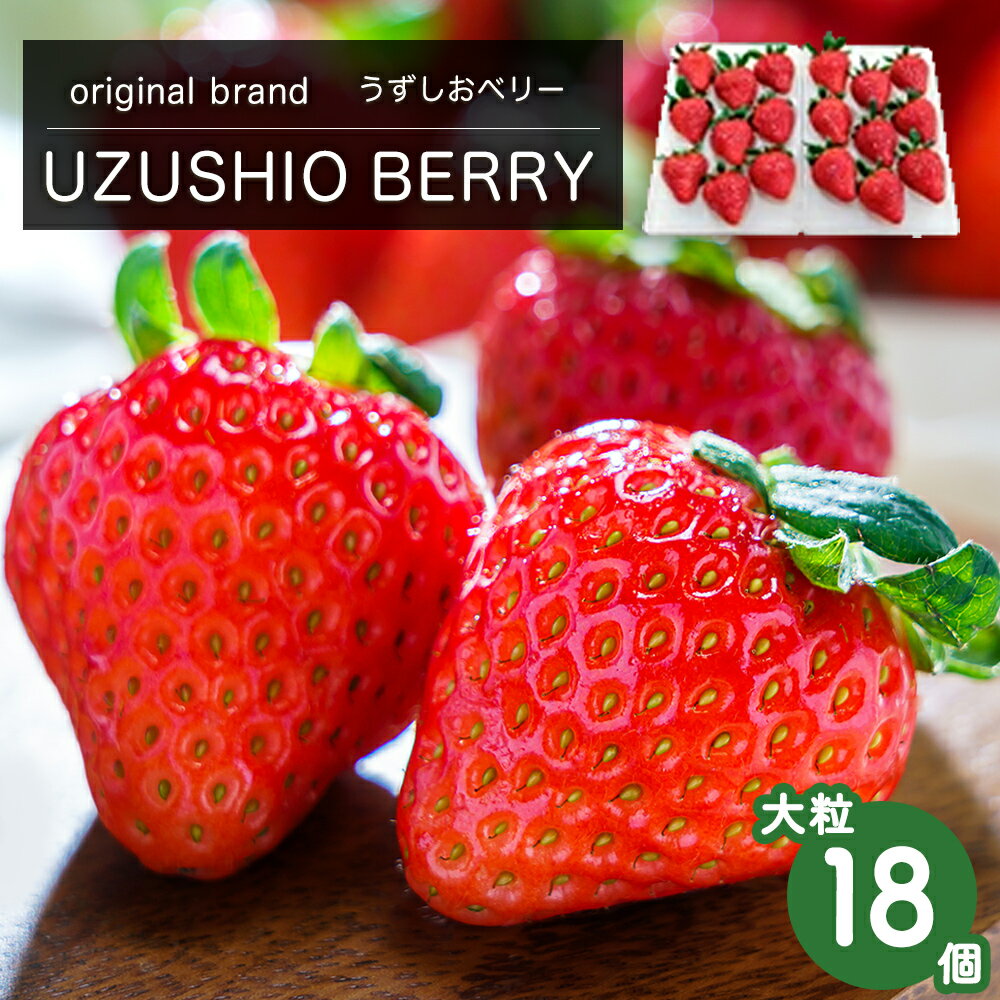 【ふるさと納税】【 予約受付中・2025年12月中旬頃より順次発送 】フルーツガーデンやまがたのいちご「うずしおベリー」約600g 大粒 18個 苺 いちご イチゴ 紅ほっぺ 果物 フルーツ 送料無料 徳島 鳴門 農家直送 ギフト 甘い 旬 数量限定