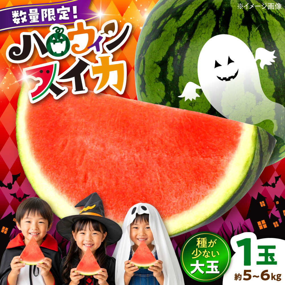 【ふるさと納税】【先行予約】　【数量限定】 熊本 ハロウィンすいか 1玉（約5〜6kg） 大玉 秋すいか スイカ 秋 ハロウィン 【一般社団法人クラッシーノこうし】[AYAB031]