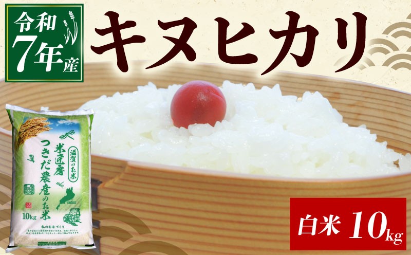 
            令和7年産 キヌヒカリ 白米 10kg 米 コメ お米 10キロ 米10kg ご飯 ごはん きぬひかり おにぎり お弁当 滋賀 彦根
          