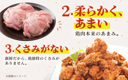 【朝引き】ありたどり モモ肉 ブロック 計1kg HAA115 モモ肉 鶏肉 有田鶏