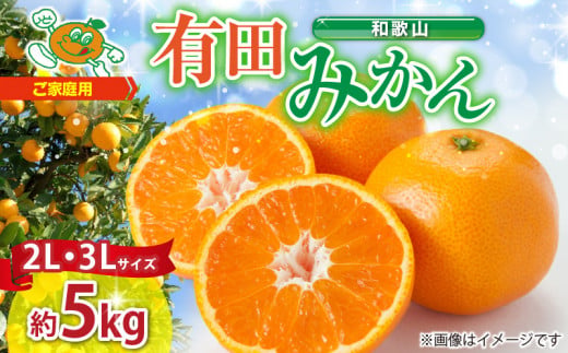 ZJ6084_【2026年先行予約】ご家庭用　和歌山有田みかん 約5kg (2L、3Lサイズいずれか)【湯浅町】