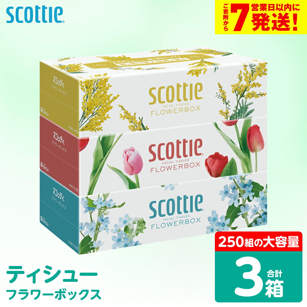 【ふるさと納税】 【スコッティ】 ティシュー フラワーボックス 250組 3箱 ティッシュ 日用品 生活必需品 防災備蓄 ストック 備蓄 新生活 防災 消耗品 生活用品 日用消耗品 箱ティッシュ 送料無料 スピード発送 【7営業日以内に発送】