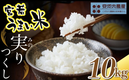 令和7年産　【先行予約】実りつくし 10kg (5kg×2袋)　【10月下旬より順次発送】福岡県宮若産 〈安河内農産〉　[M789]　米・食味コンクール国際大会金賞米 精米 ブランド米 コメ ご飯 白米
