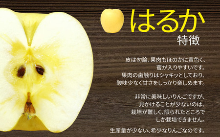山形県産 りんご はるか 秀品 1kg FSY-0877