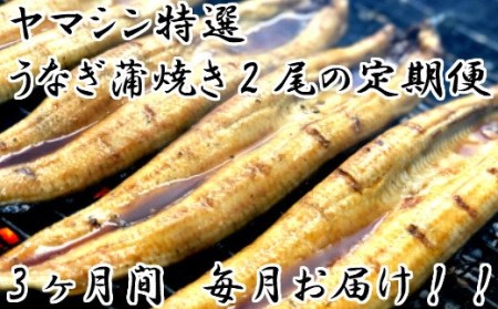 特選うなぎ蒲焼き2本定期便　計3回お届け ヤマシン