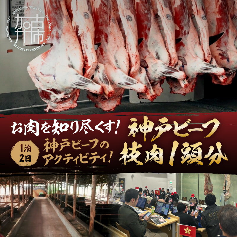 【ふるさと納税】【時期限定】お肉を知り尽くす！牛肉(神戸ビーフ)のアクティビティ(1泊2日)