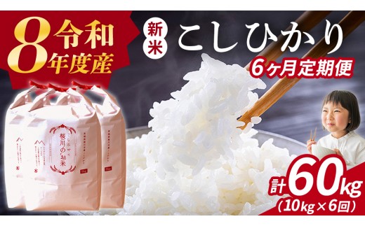 
                  《 令和8年産 》 全6回 定期便 桜川市産 こしひかり 10kg × 6回 新米 先行予約 6ヶ月 茨城県 桜川市 米 お米 白米 コメ ごはん 精米 コシヒカリ 国産 限定 銘柄米 [SC064sa]
                