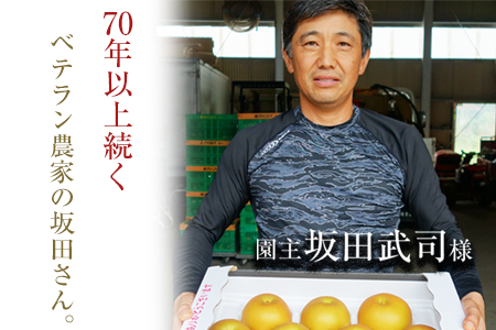 先行予約 梨 玉東梨 約5kg 坂田農園 梨