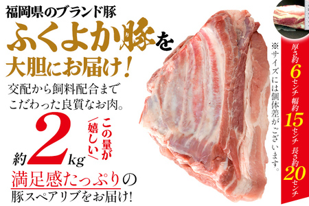 豚肉 スペアリブブロックカット 約2kg 豚肉