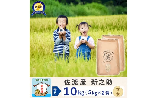 【新米予約 9か月定期便】佐渡島産 新之助 玄米10Kg 令和7年