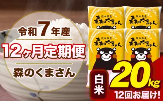 【12ヶ月定期便】令和7年産 森のくまさん 白米 20kg 5kg×4袋 計12回お届け 《お申込み翌月から出荷》 お米 こめ 熊本県産 ご飯 備蓄
