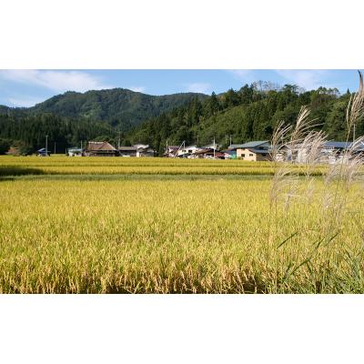 ふるさと納税 羽後町 訳あり 令和6年産 羽後町産あきたこまち無洗米2合(300g)×3袋[No.5325-0461] |  | 01