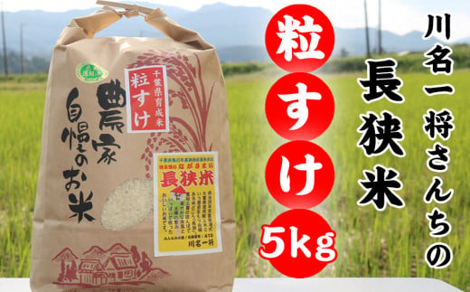 【令和5年産】川名一将さんちの長狭米　長狭米『粒すけ』 5kg [0010-0305]