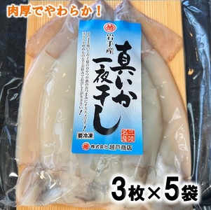 北三陸産 真イカの一夜干し 3枚入×5袋 いか一夜干し いか イカ焼き イカ飯 BBQ イカゲソ