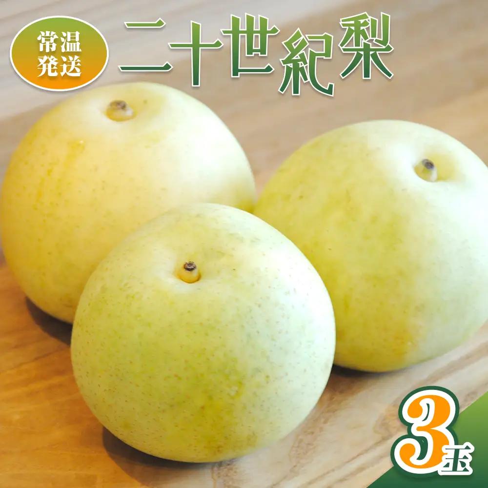 【先行予約】井上農園 梨 ”二十世紀梨” 3玉入り（約1kg）｜鳥取 岩美 梨 なし ナシ※お届けは2026年8月下旬以降【41031】