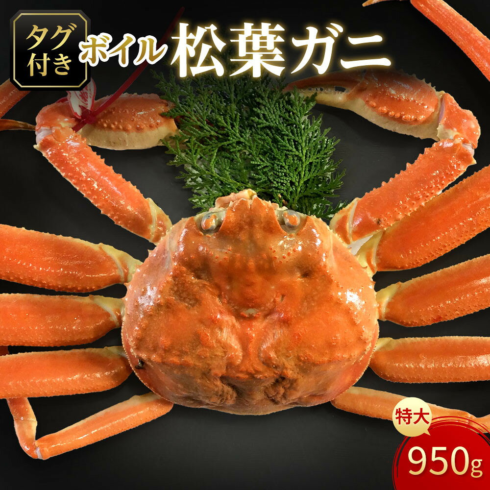 【ふるさと納税】【魚倉】タグ付きボイル松葉ガニ(特大950g) | 国産 タグ付き ズワイガニ 松葉ガニ カニ 蟹 かに ボイル カニ鍋 かに鍋 鍋 かにしゃぶ かにみそ 期間限定 送料無料 鳥取県 三朝町
