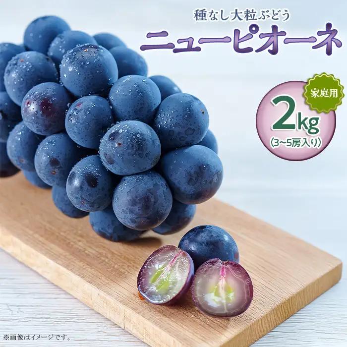 岡山県井原市美星町産 ニューピオーネ 2kg箱（3～5房入り） ご家庭用【2026年8月下旬～9月下旬発送予定】