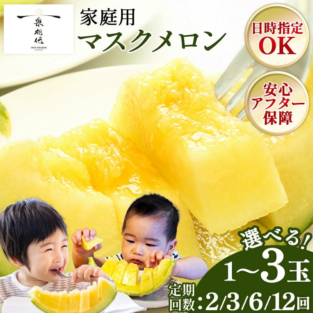 【ふるさと納税】【選べる】一果相伝 マスクメロン 家庭用 1玉/2玉/3玉 配送回数:2/3/6/12回 - 選べる 定期便 果物 フルーツ めろん 青肉 ギフト 自宅用 ジューシー 果汁 至福 美味しい ソーダ シロップに 甘い ケーキに あまい 篤農 産地直送 高知県 香南市【常温】