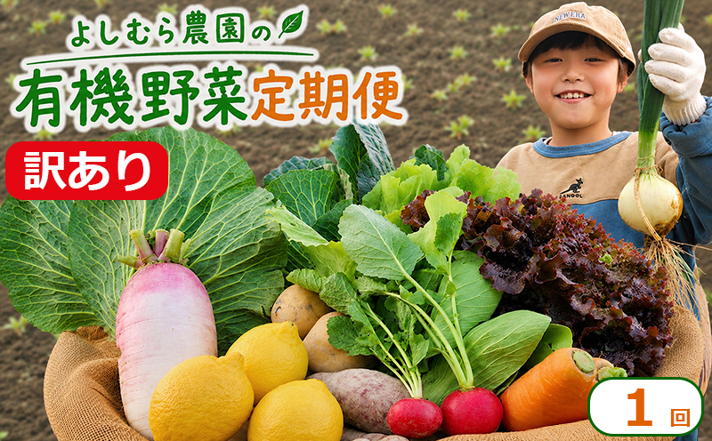 訳あり 野菜 詰め合わせ 6種 よしむら農園 オーガニック 有機 有機野菜 やさい ベジタブル おまかせ セット 一人暮らし おすすめ レタス とうもろこし トマト 有機栽培 JAS 栄養 贅沢 国産