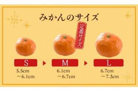 ≪先行予約≫ 濃厚ハウスみかん『蜜ツ星』秀品 1.2kg（Sサイズ15玉）