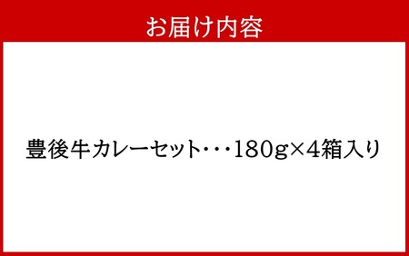 2455R_おおいた豊後牛カレー4箱セット