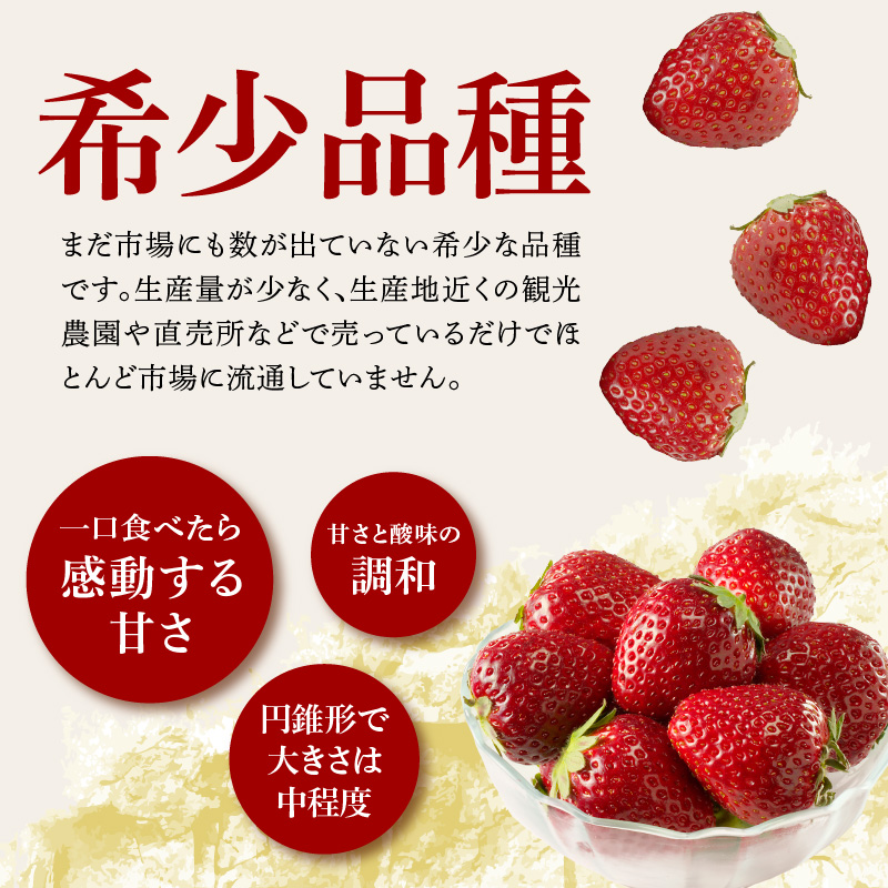 ★予約受付★希少品種！黒いちご「真紅の美鈴（しんくのみすず）」2025年1月〜4月中に順次配送