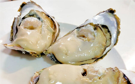 魚介 【全3回定期便】漁師直送！「季節を旬の海産物で感じる」詰め合わせ(10,000円相当分)冷蔵 島根県松江市/株式会社永幸丸[ALFM009] 魚介 魚介