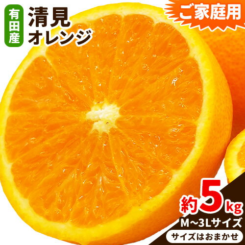 【ふるさと納税】【ご家庭用】有田産 清見 オレンジ約 5kg（M〜3Lサイズおまかせ） 日高川町厳選館 先行予約《2026年2月中旬-3月末頃より出荷予定》和歌山県 日高川町 柑橘 果物 フルーツ 清見オレンジ