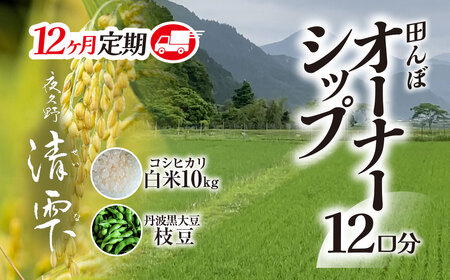 ＜令和7年10月中旬より発送！＞【12ヶ月定期】田んぼオーナーシップ12口分　清雫　白米10kg+ムラサキ（丹波黒大豆の枝豆）/ ふるさと納税 田んぼ オーナー制度 米 白米 令和7年度産 先行 定期 10kg 12回 収穫 夜久野 京都 京都府 福知山 FCDB012