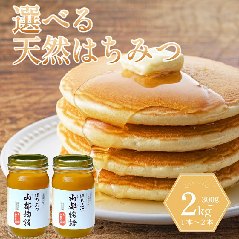 【ふるさと納税】 はちみつ 300gから1.2kg 国産 蜂蜜 ギフト プレゼント 個包装 無添加 無農薬 健康食品 おすすめ はちみつ 国産 純粋 非加熱 国産はちみつ 日本蜜蜂 蜂蜜