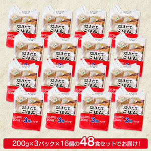 炊きたてごはん パックライス たっぷり 200g × 48食セット　| 米 お米 コメ ライス ごはん ご飯 パックご飯 白飯 白米 食品 お手軽 レンジ 湯煎 一人暮らし 常温保存 備蓄 非常食 保