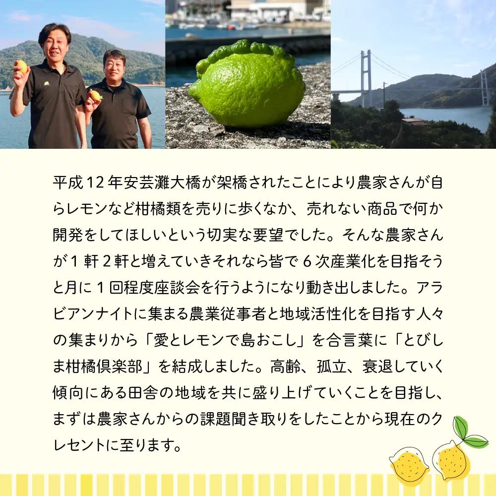 クラフトレモンコーラシロップ3本 クラフトコーラ  希釈 柑橘 呉市
